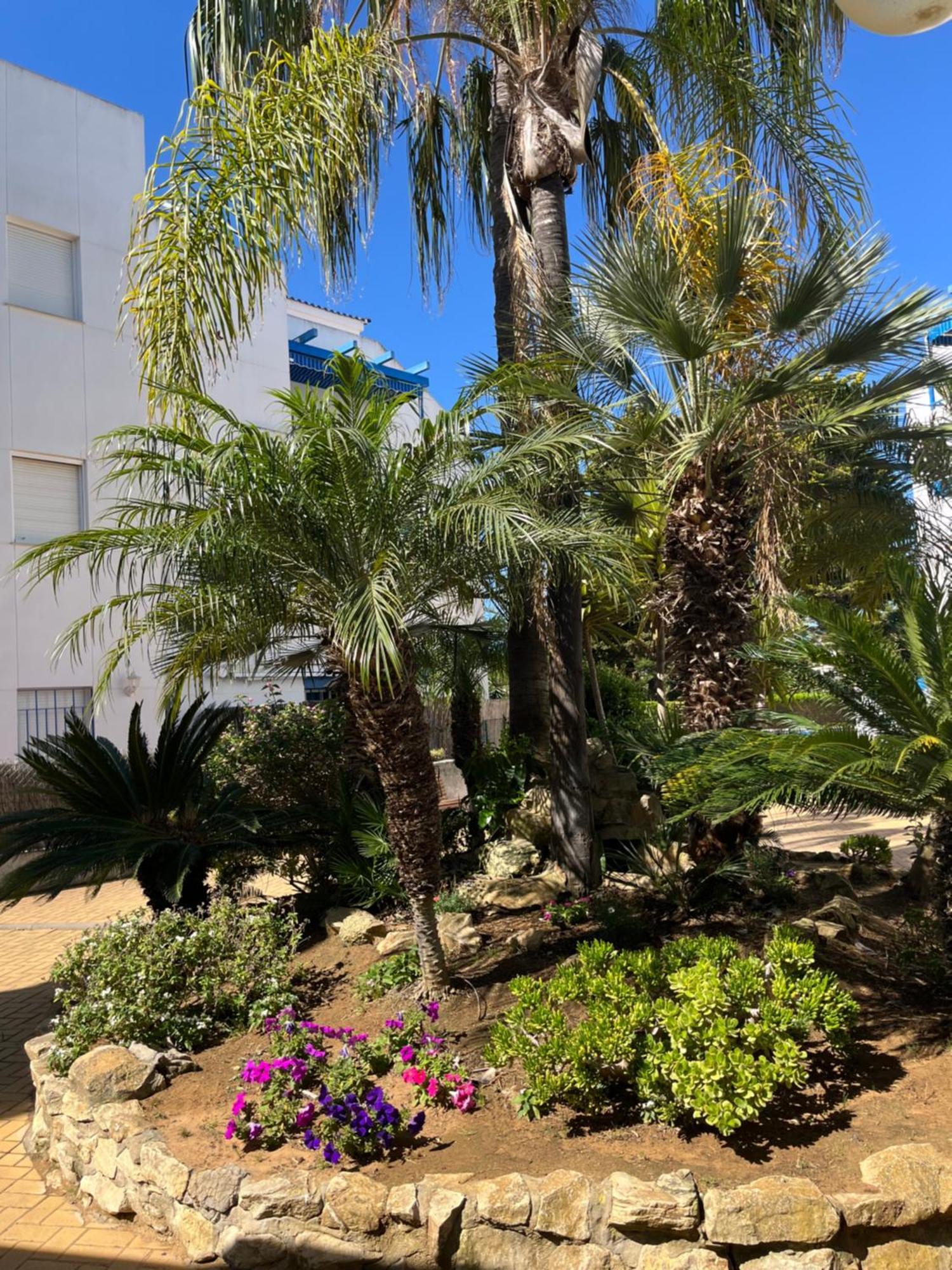 Apartamento En Costa Ballena, Urb. Playa Ballena カディス エクステリア 写真
